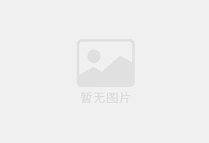 和布克赛尔混凝土拆除公司的电话号码是多少？